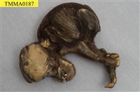 藏品(家豬的畸形胎兒)的圖片